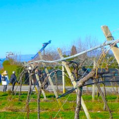 P1170134     Canevaworld.